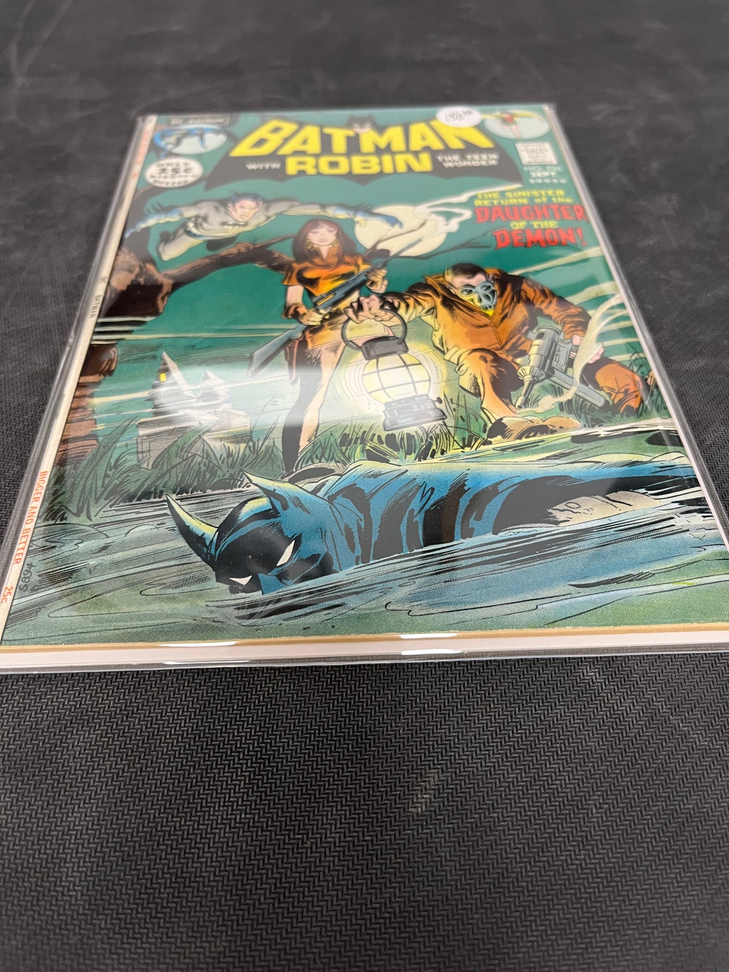 DC: Batman and Robin