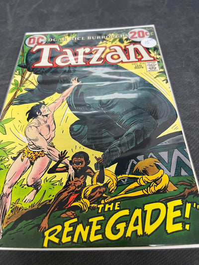 DC: Tarzan